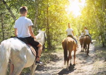 Excursión a caballo