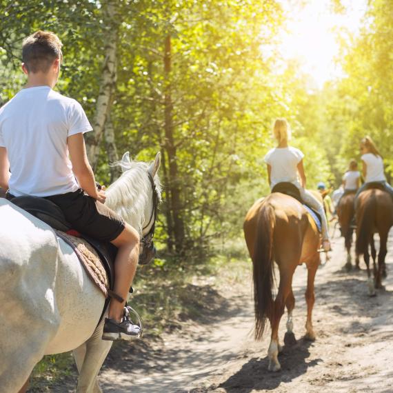 Excursion à cheval