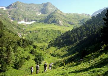 Parc Naturel des Hautes Pyrénées