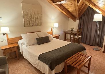 Superior Attic Double Room