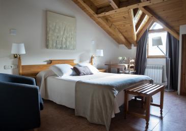 Superior Attic Double Room