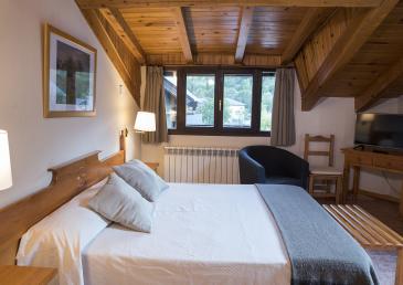 Superior Attic Double Room